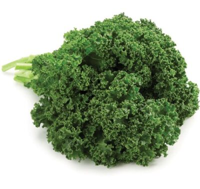 US KALE GREEN 24 CT/CS